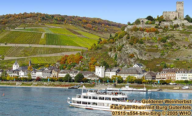 Rheinschifffahrt Goldener Weinherbst zum Federweissenfest bei Kaub am Rhein mit Burg Gutenfels